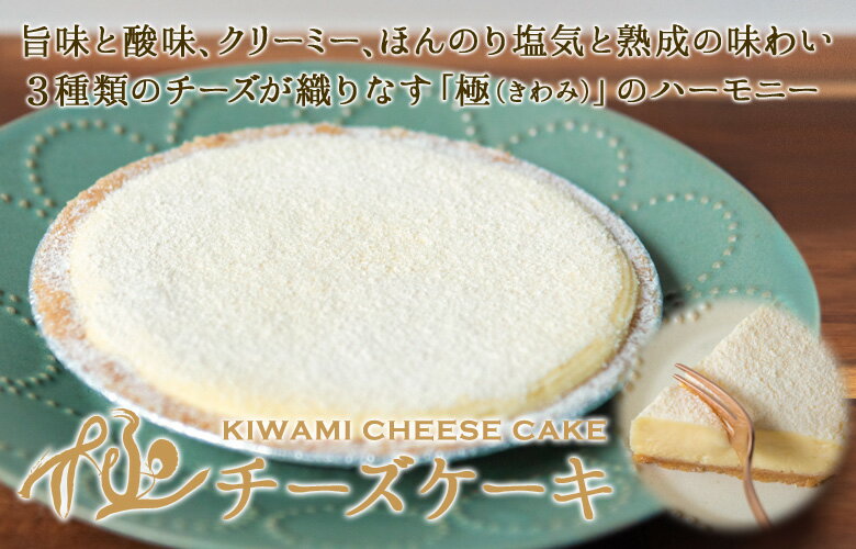 バレンタイン プチギフト 義理チョコ 2021 ギフト プレゼント 誕生日プレゼント『極チーズケーキ』 1ホール濃厚チーズケーキ 贅沢チーズケーキ「バレンタイン プチギフト チョコ以外 お取り寄せ 人気 ギフト スイーツ 2021 誕生日プレゼント」格安通販　バレンタイン　人気　ランキング