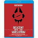 BD / RADIO BIRDMAN / レディオ・バードマン/ディセント・イントゥ・メールストロム(Blu-ray) (廉価版) / KIXF-1399