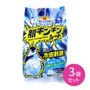 3個セット 熱中対策 肌キンキンシート 30枚入り 無香料 全身 厚手 大判 さっぱり リフレッシュ 冷感刺激 冷たい 夏