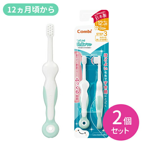 テテオ はじめて歯みがき 乳歯ブラシ STEP3 2個セット 赤ちゃん 乳幼児 歯ブラシ 乳歯 初めて オーラルケア 口腔ケア 虫歯予防 握りやすい やわらかい ふっくら形状 ベビー用品 コンビ combi