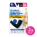 【お買い物マラソン ポイントUP!】2個セット コーワ バンテリン サポーター リカバリー アームスリーブ コスモブラック 小さめ〜普通サイズ S〜Mサイズ 腕用 1箱2枚入り 興和 サポート UVカット 快適 ムレにくい(4)