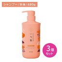 【北海道も送料0円!追加送料なし!】【3個セット】いち髪 濃密W保湿ケアシャンプー ポンプ 480g ヘアケア ダメージケア 補修 予防 美髪 艶 つや 美しい モイスト 潤い うるおい パサつき 広がり しっとり まとまり 本体 クラシエ