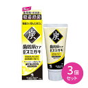 【3個セット】歯周病ケア スミガキ 90g 原因菌 炎症 抑える 抑制 防止 歯垢 薬用炭 さっぱり 爽快 すっきり 爽やか 吸着 殺菌 歯ぐき 小林製薬(4)