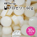 昆虫ゼリー 昆虫 飼育 カブトムシ クワガタ 60g 30個入り プロゼリー KBファーム 夏休み 自由研究 高たんぱく アミノ酸 無着色