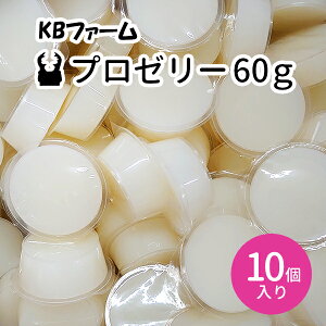 昆虫ゼリー 昆虫 飼育 カブトムシ クワガタ 60g 10個入り プロゼリー KBファーム 夏休み 自由研究 高たんぱく アミノ酸 無着色