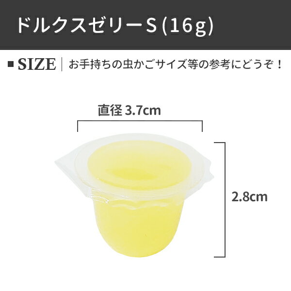 フジコン製 ドルクスゼリーS 16g 100個入り 昆虫ゼリー エサ 虫 高タンパク 高カロリー コラーゲン 小型 中型 クワガタムシ