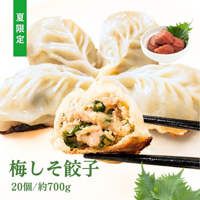 【送料無料】夏限定 梅しそ餃子 20個 約700g にんにく