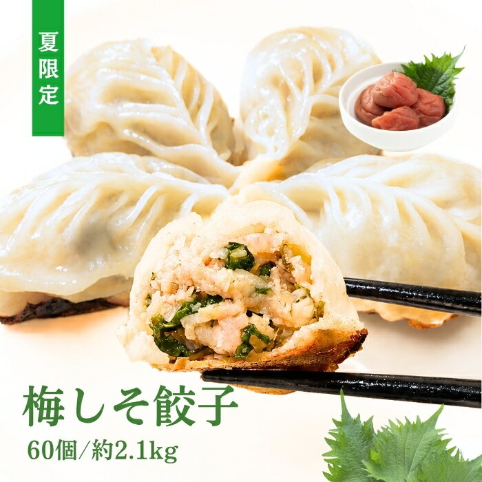 【送料無料】夏限定 梅しそ餃子60個 約2.1kg にんにく