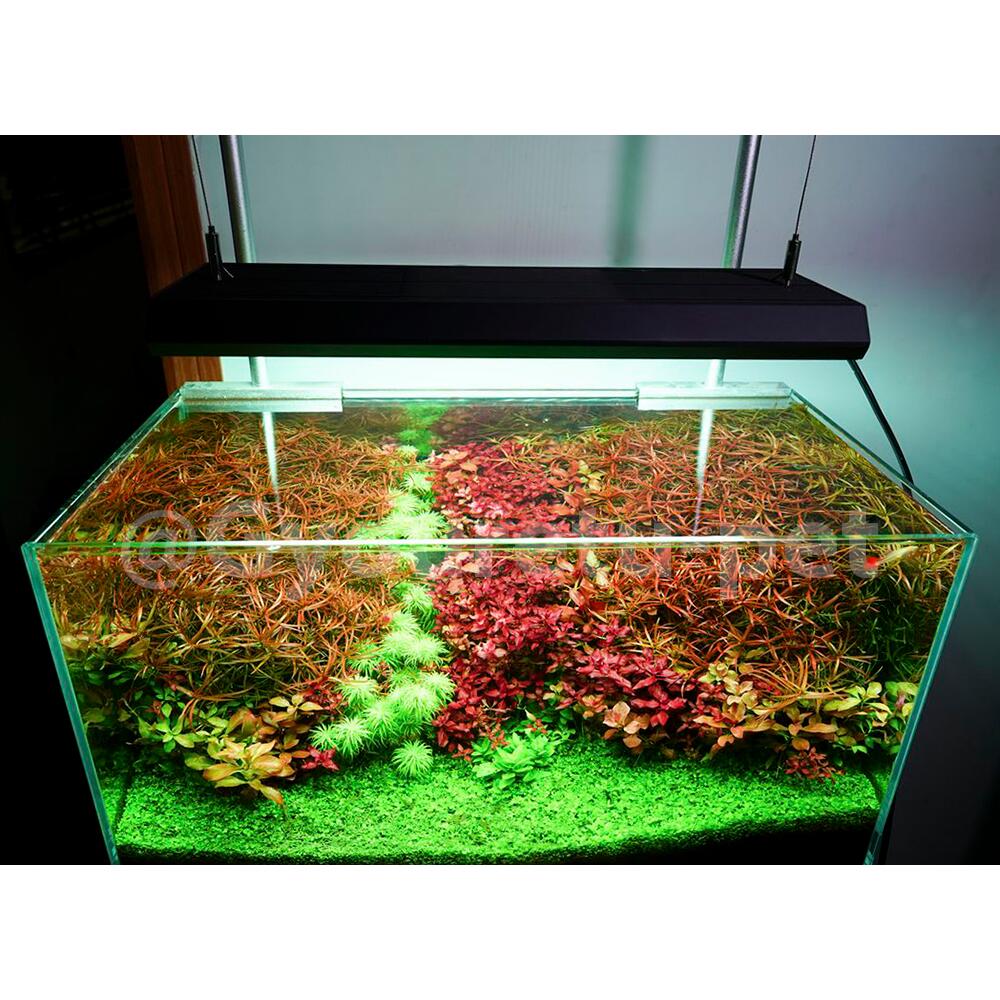 Chihiros チヒロス Vivid2 水槽 Blk 黒 適合水槽サイズ60 90cm 行列のできるペット館