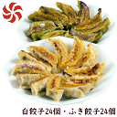 ふき餃子と白餃子48個セット(白餃子24個・ふき餃子24個)【送料無料】(餃子の