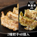 ふき餃子と白餃子48個セット(白餃子24個・ふき餃子24個)【送料無料】(餃子の餃天 ぎょうざのぎょうてん ぎょうざ 餃子 ギョーザ お中元 お歳暮 お取り寄せ...