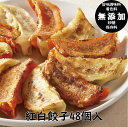 【送料無料】餃天の紅白餃子48個詰合せ【赤餃子24個・白餃子24個】餃子の餃天/餃子/ギョーザ/お取り寄せ/無添加/化学調味料無添加