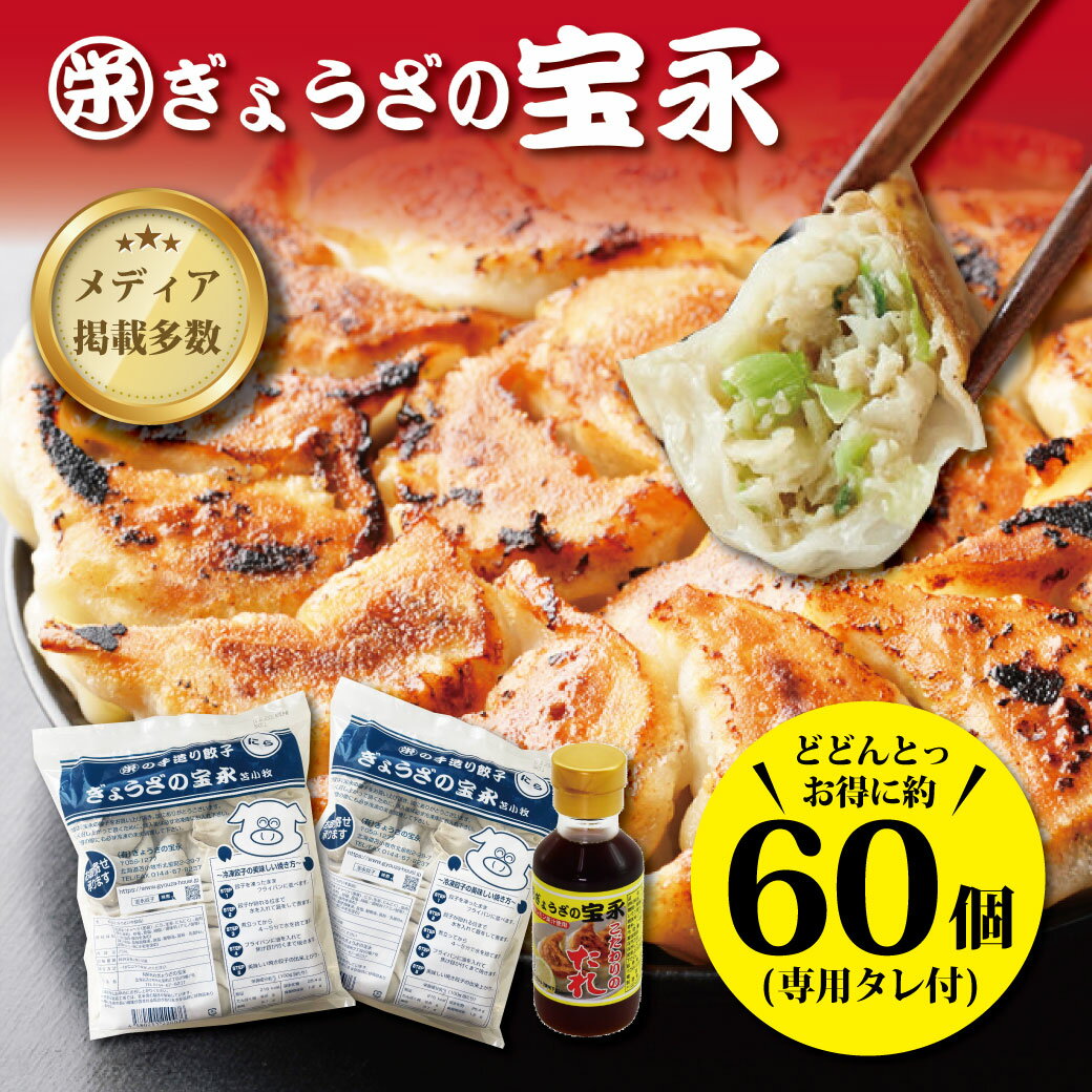 【ポイント2倍】【送料無料】 宝永スタンダードBセット （専用たれ付き） 総重量1.6kg ぎょうざの宝永【製造元】北海道 冷凍餃子 ぎょうざ 生餃子 中華 惣菜 点心 もちもち にんにく ギフト 御礼 内祝 お返し お中元 父の日