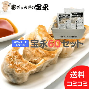 宝永60セット（専用たれ付き）ぎょうざの宝永 北海道 冷凍餃子 ぎょうざ お取り寄せ 贈り物 ギフト ギョーザ お中元 お歳暮 マツコの知らない世界 メディア テレビ 餃子 送料無料 母の日