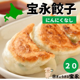 宝永マイルド餃子（ニンニク不使用） 20個入 　ぎょうざの宝永 【製造元】北海道 冷凍餃子 ぎょうざ お取り寄せ 贈り物 ギフト 餃子 ギョーザ お中元 お歳暮 マツコの知らない世界 メディア テレビ にんにくなし にんにく不使用 母の日