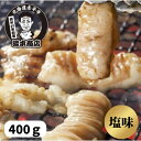 ＼老舗焼肉店の味／タキモト豚ホルモン（塩味） 特製塩にんにく バーベキュー 焼肉 冷凍 おいしい おかず おつまみ 本格派 職人 お取り寄せ ギフト 母の日 1