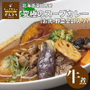 \9種の野菜入り/スープカレー (牛すじ煮) 北海道 お取り寄せ ギフト レトルト お中元