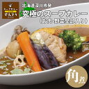 \9種の野菜入り/スープカレー (豚角煮) 北海道 お取り寄せ ギフト レトルト お中元