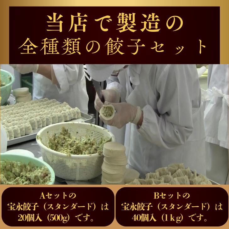【送料無料】宝永全種セットB（専用たれ付き） 総重量2.28kg ぎょうざの宝永【製造...
