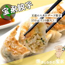 宝永餃子(スタンダード) 250g(約10個入) ぎょうざの宝永【製造元】冷凍餃子 ぎょうざ 生餃子 中華 惣菜 点心 もちもち にんにく 景品 ギフト お返し...
