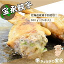 宝永手羽餃子 300g(5本入) ぎょうざの宝永 【製造元】 北海道 冷凍餃子 ぎょうざ 生餃子 中華 惣菜 点心 にんにく ギフト お返し お祝 内祝い