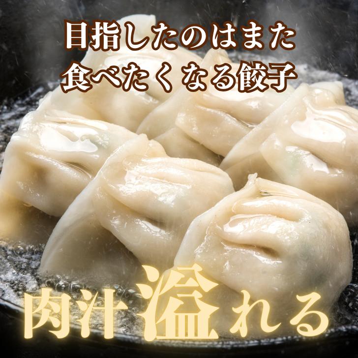 宝永にら餃子（スタンダード） 750g（約30個入） ぎょうざの宝永【製造元】北海道 冷凍餃子 ぎょうざ 生餃子 中華 惣菜 点心 もちもち にんにく ギフト お返し お祝 内祝い 御礼 内祝 お中元 父の日 3