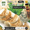 【送料無料】 宝永しそAセット (専用たれ付き) 総重量860g ぎょうざの宝永【製造元】北海道 冷凍餃子 ぎょうざ 生餃子 中華 惣菜 点心 もちもち にんに...