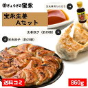 【送料無料】宝永生姜Aセット (専用たれ付き) 総重量860g ぎょうざの宝永【製造元】北海道 冷凍餃子 ぎょうざ 生餃子 中華 惣菜 点心 もちもち にんにく...