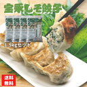【送料無料】 宝永しそ餃子60個 1.5kg ぎょうざの宝永【製造元】 北海道 冷凍餃子 ぎょうざ 生餃子 中華 惣菜 点心 にんにく シソ ギフト お返し お...