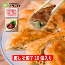 831梅しそ餃子 冷凍餃子 宮崎餃子 都城餃子 国産野菜 新鮮野菜 宮崎県産豚肉 国産小麦 宮崎県産完熟南高梅 国産大葉 フリーズドライ