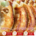 本餃子48個 しょうが餃子48個 入り