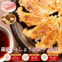 【2019年度グルメ大賞受賞！】黒餃子48個 しょうが餃子48個 入り 餃子 送料無料 【5,000万個突破】餃子 96個！約16人前！