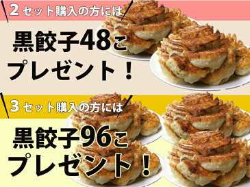 【2016年度中華総菜・点心部門グルメ大賞受賞！】餃子 送料無料 黒餃子48個本餃子48個 96個分 約16人前