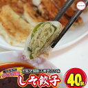 しそ餃子 冷凍 お取り寄せ グルメ 土日も発送 特性タレ付き 国産 生餃子 野菜たっぷり あっさり 本格 簡単 にんにく 控えめ 小分け お取り寄せ おつまみ ...
