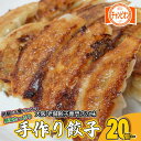 【ポイント5倍】餃子 チャンピオン 冷凍餃子 お取り寄せ グルメ 20個入り 土日発送 特性タレ付き 国産 生餃子 野菜たっぷり あっさり 本格 簡単 にんにく 控えめ 小分け お取り寄せ おつまみ 惣菜 人気 ビール 冷凍生餃子 送料無料 餃子専門店チャンピオン 大阪