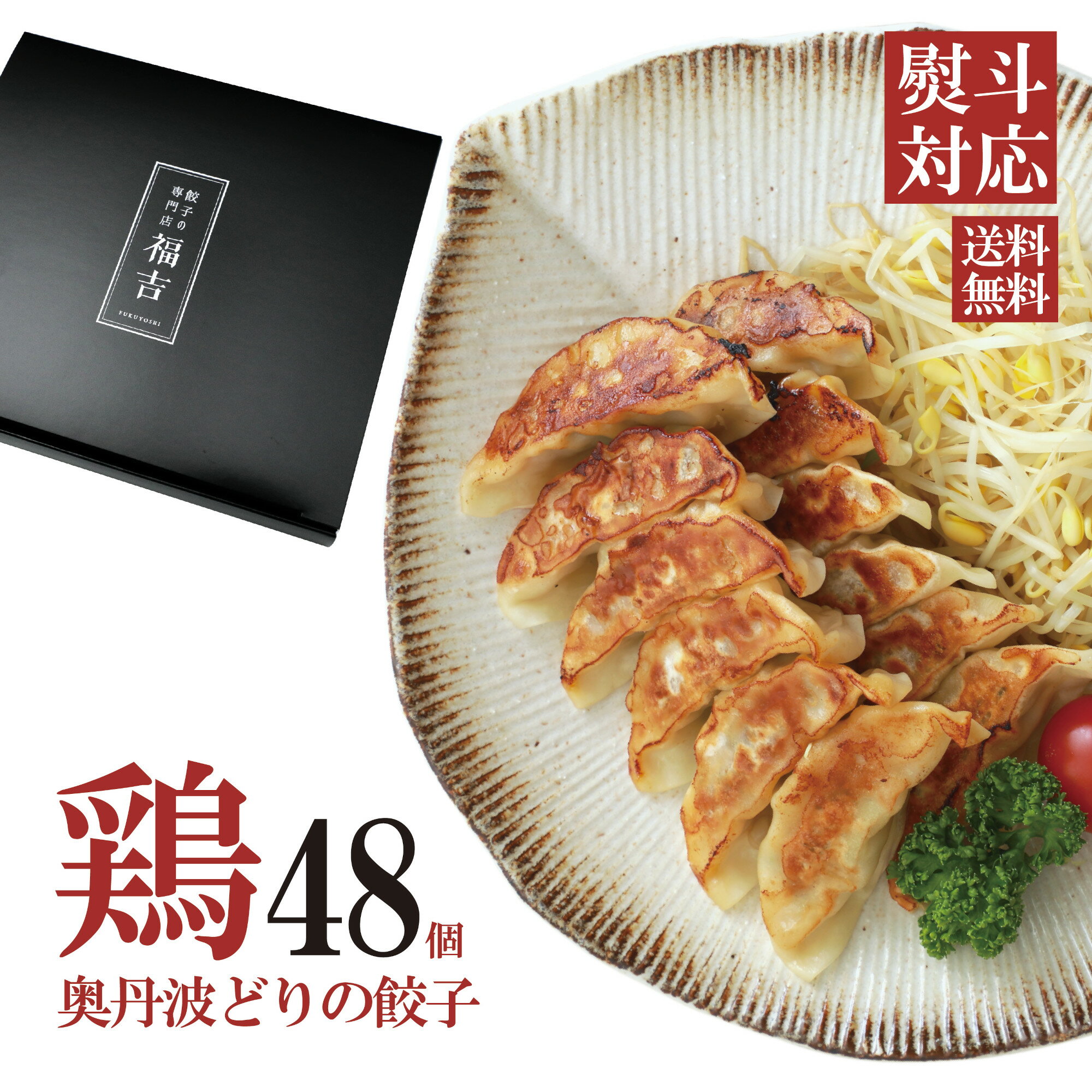 鶏餃子 京都 九条ねぎ 48個入 味噌だれ付 送料無料 (北