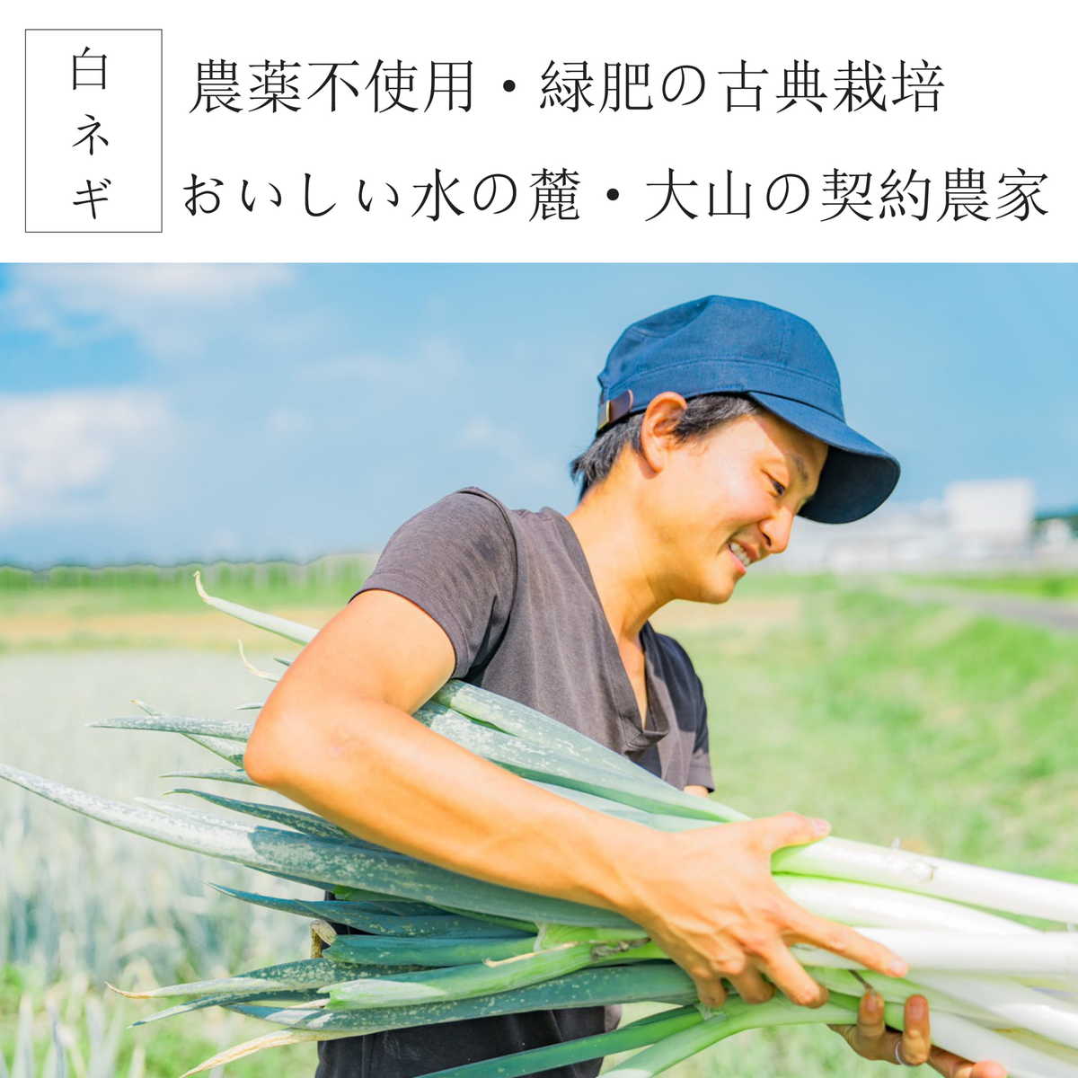 【味くらべ 2】白ネギ　えび　京かしわ　12個入×3種類×2セット　72個　餃子　豚　京都ポーク　鶏　エビ　冷凍　生餃子【お歳暮】【ギフト】【のし】