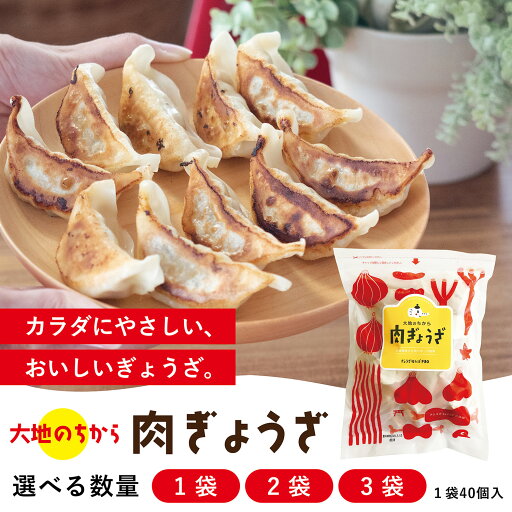 無添加 単品 肉餃子 40個入 国産 新鮮素材 化学調味料不使用 安心 健康志向 お取り寄せ 惣菜 冷凍 【ぎょうざほんぽpao】の大地のめぐみ 肉ぎょうざ 無添加 単品 肉餃子 40個入 国産 新鮮素材 化学調味料不使用 安心 健康志向 お取り寄せ 惣菜 冷凍 【ぎょうざほんぽpao】の大地のめぐみ 肉ぎょうざ
