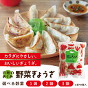 \11日までクーポン利用で2,275円〜!/無添加 単品 野菜餃子 40個入 国産 新鮮素材 化学調味料不使用 安心 健康志向 お取り寄せ 惣菜 冷凍 【ぎょう...