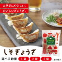 \11日までクーポン利用で2,275円〜!/無添加 単品 しそ餃子 40個入 国産 新鮮素材 化学調味料不使用 安心 健康志向 お取り寄せ 惣菜 冷凍 大葉 お...