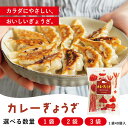 \11日までクーポン利用で2,275円〜!/無添加 単品 カレー餃子 40個入 国産 新鮮素材 化学調味料不使用 安心 健康志向 お取り寄せ 惣菜 【ぎょうざほ...