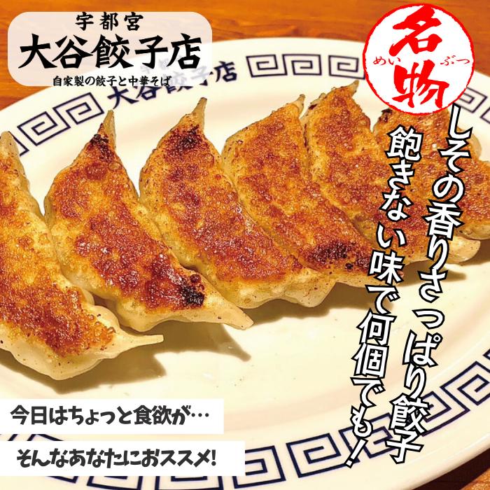 【大谷餃子店】しそ餃子 24個入り 送料無料 宇都宮 餃子 中華料理 お取り寄せ 簡単調理 惣菜 ギョーザ 肉の日 冷凍餃子 ギフト まとめ買い しそ グルメ gyozaichiba-10000001 餃子マーケット サンプル画像3