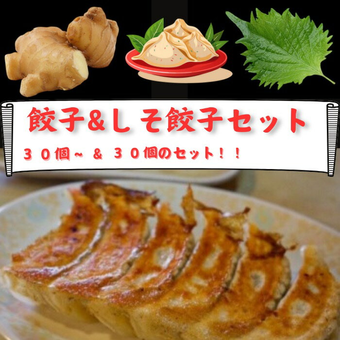 【餃子 食べ比べ セット】送料無料 冷凍餃子 業務用 焼餃子 しょうが餃子 ビールのつまみ しそ餃子 冷凍 薄皮 大阪 しそ しょうが 大葉 青じそ シソ 生姜...