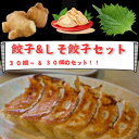【餃子 2種 セット】食べ比べ 大阪 しそ餃子 冷凍 本当に 美味しい お取り寄せ 取り寄せ グルメ 薄皮 冷凍食品 大容量 業務用 中華料理 シソ 青じそ し...