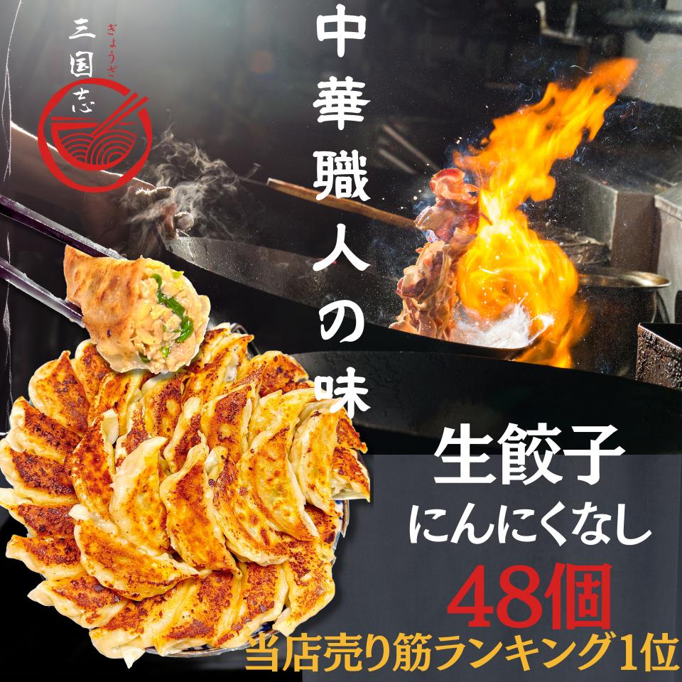 48個入 にんにくなし 中華職人味 買いお得 生餃子 お子様 美味い 送料無料ヘルシー 大きいサイズ 冷凍食品 豚肉餃子 惣菜おかず おつまみ ご飯お酒 工場直売 ぎょうざ ギョウザ ギョーザ 冷凍餃子 国産素材 贈答品 プレゼント 贈り物