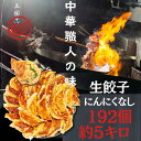 「5と0日限定50%OFFクーポンあり」192個入 にんにくなし 中華職人味 48個×4袋 ジャンボサイズ 国産肉 国産野菜 冷凍餃子 おかず お子様安心 家族...