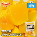 ★☆マラソン!店内最大30%OFF★☆ 「 冷凍 マンゴー 」 ダイスカット 500g 1袋 業務用 トロピカルマリア アスク 無添加 冷凍フルーツ 砂糖不使用...