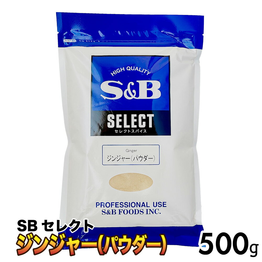 SB セレクト 「 ジンジャーパウダー 」 500g 大容量 スパイス S&B ジンジャー パウダー ...