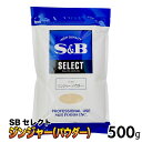 SB セレクト 「 ジンジャーパウダー 」 500g 大容量 スパイス S＆B ジンジャー パウダー 生姜 エスビー食品 SB食品 業務用 袋 香辛料 JC メール便 送料無料