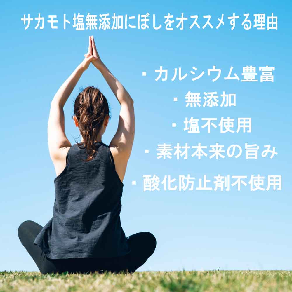 �������SALE�������ݥ�������� ������� ��̵ź�äˤܤ� 100g ̵�� ̵ź�� �򹯤ˤܤ� ��ʪ ����å��դ� �����٤�1�� / 2�� �Ͼ��� �� ���٤뾮�� �Ѵ� �� ���륷���� Ŵʬ �� ��ʬ �Ѵ��� ��ʬ���å� ��ʪ �ַ򹯤ˤܤ��� JC �᡼���� ����̵��